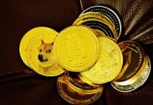Bullrun beim Bitcoin und Dogecoin? Analysten erwarten weiteres Wachstum