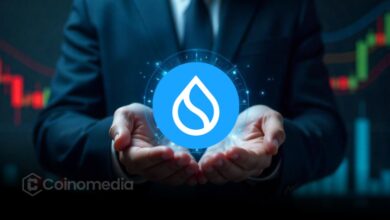 SUI Ranks 3rd in Stablecoin Supply Growth