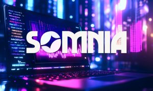 Somnia ra mắt Devnet, mở thử nghiệm công khai cho Blockchain của mình