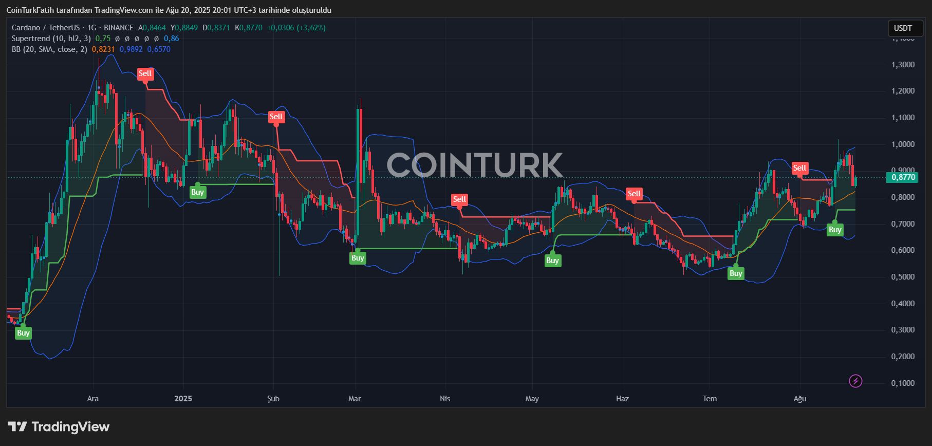 Discover Why VET Coin Commands Significant Interest image 0