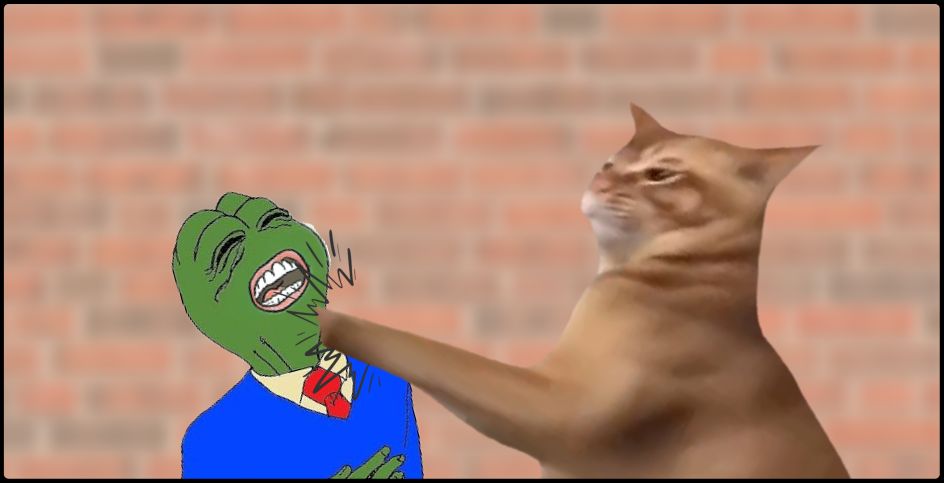 Les memecoin de chats Catslap et POPCAT et MOG, Catslap prêt à rebondir avec une annonce majeure image 0