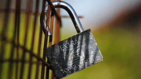 Worldcoin Launches Token Unlocking Program