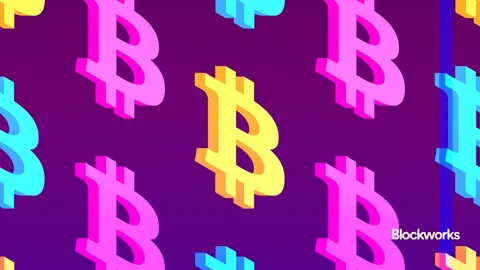 Empire Newsletter: What would a strategic bitcoin reserve look like?