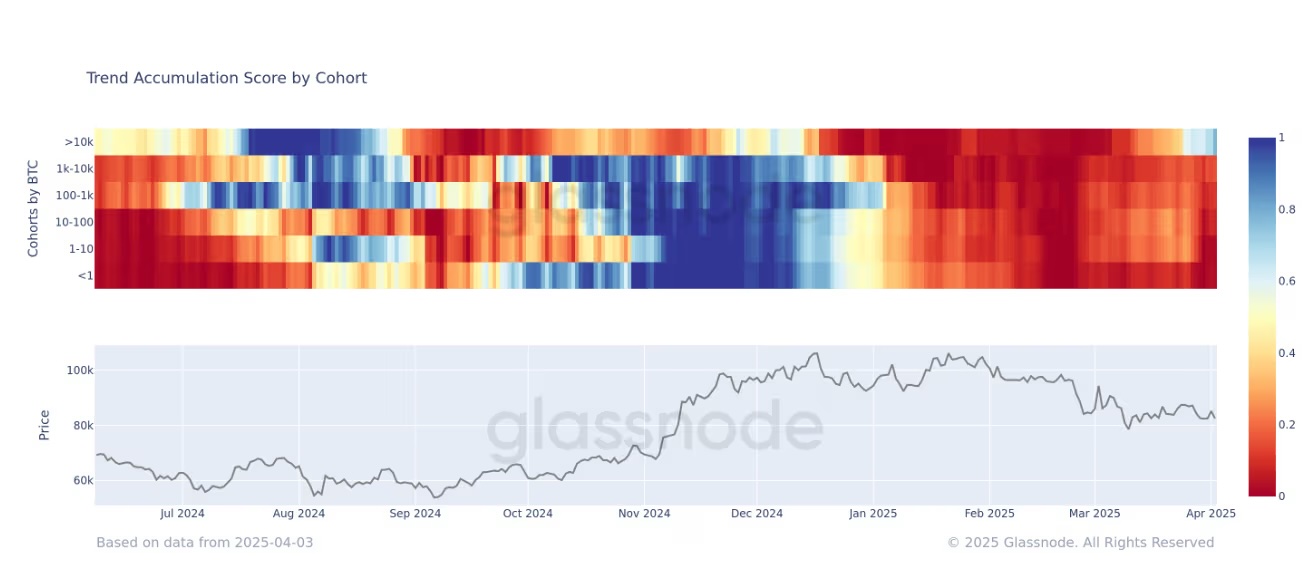 「巨鯨大戶」逢低搶進比特幣!Glassnode:8 個月來首見明顯吸籌 image 0