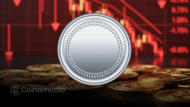 Crypto Treasuries Pull Back After October Crash