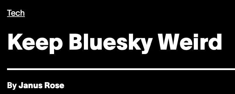 马斯克玩坏了 X，2000 万「Twitter 难民」疯狂涌向这个 App image 8