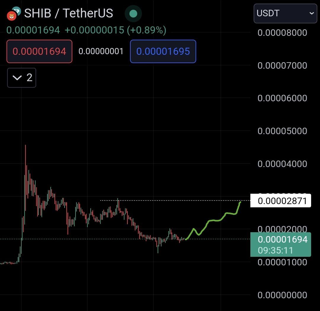 Shiba Inu Faces Key Resistance at $0.00002871: Will It Break Through? image 1