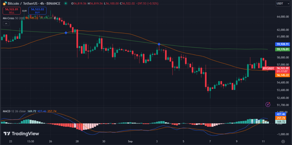 Is Bitcoin (BTC) Entering a Prolonged Slump Below $58K? image 3