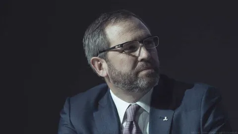 "Ship has sailed": Sinabi ni Ripple CEO Brad Garlinghouse na hindi na babalik ang US sa mapanupil na crypto climate sa ilalim ni Gensler