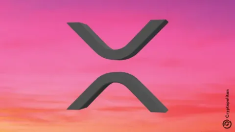 Ripple presenta una demostración interactiva para su plataforma de pagos