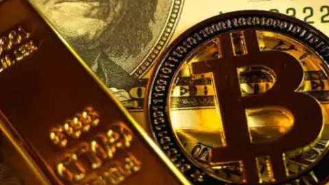 Director de Inversiones de Bitwise: ¿Por qué el oro supera ampliamente a bitcoin?