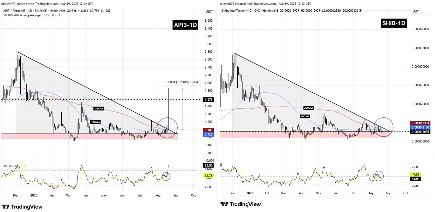 Shiba Inu (SHIB) To Rally Higher? Key Emerging Fractal Signaling Potential Bullish Move image 1