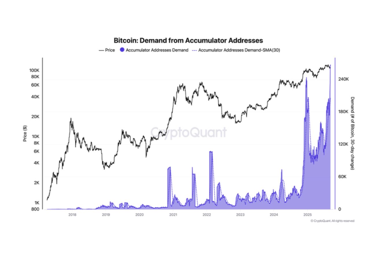 Эти два сигнала указывают на то, что быки биткоина (BTC) не сдаются image 0