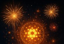 Cardano zündet das Innovationsfeuerwerk – 71 Millionen für die Blockchain-Zukunft