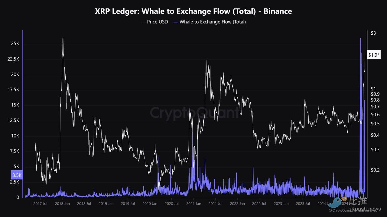 【比推每日市场动态】韩国突发“黑天鹅”,巨鲸趁乱捡筹码 image 1