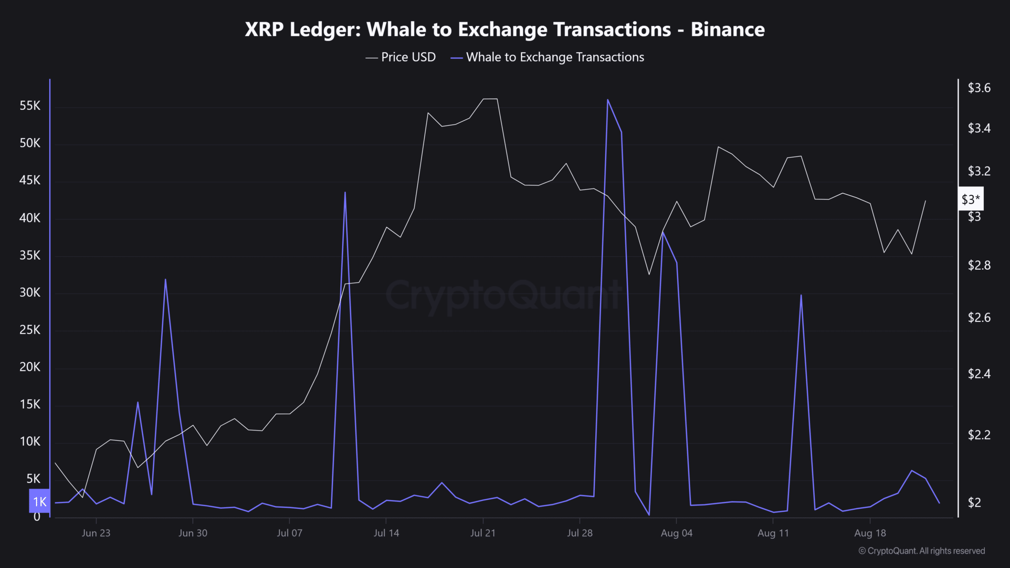 Varios emisores actualizan las solicitudes de ETF de XRP tras el sobreseimiento del caso Ripple image 0