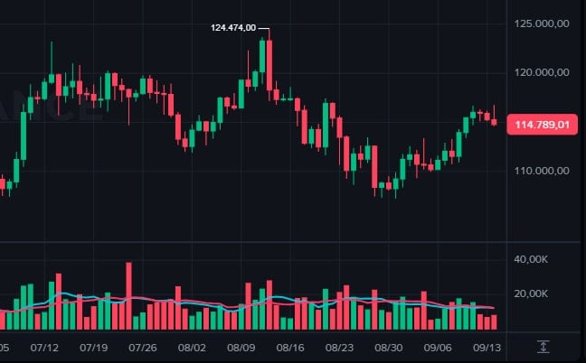 Bitcoin Loses Strength as DOGE Falls 10%, BTC Falls Below $115