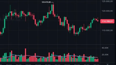 Le Bitcoin perd de la force alors que DOGE chute de 10 %, BTC passe sous les 115 $