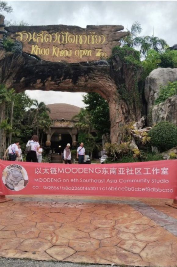 Meme炒作再度来袭,这回社区在玩些什么? image 2