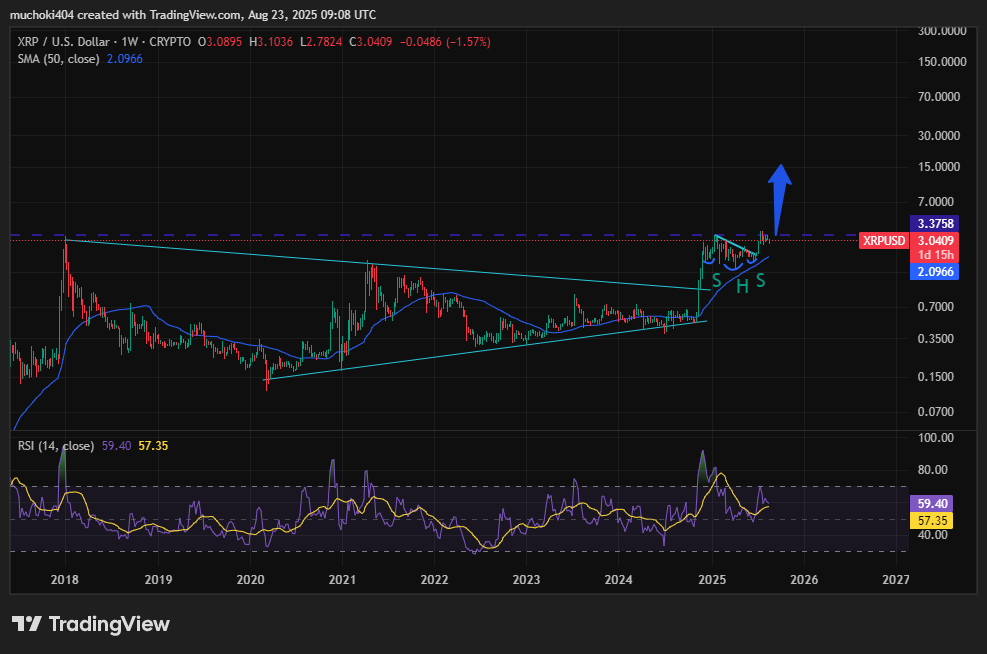 XRP-быки получают щит (юридическая ясность) и меч (ETF) image 1