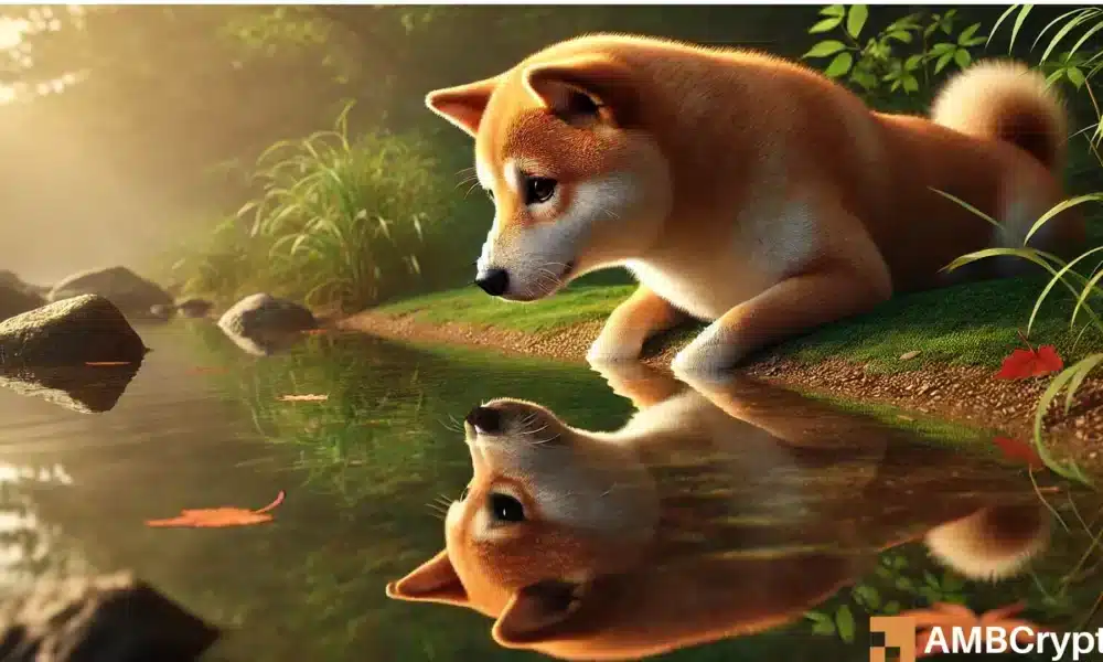 为什么DOGE再次达到0.50美元并不像你想象的那么容易