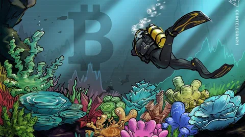 قاع سعر Bitcoin متوقع "هذا الأسبوع" مع انخفاض BTC بنسبة 20% في نوفمبر