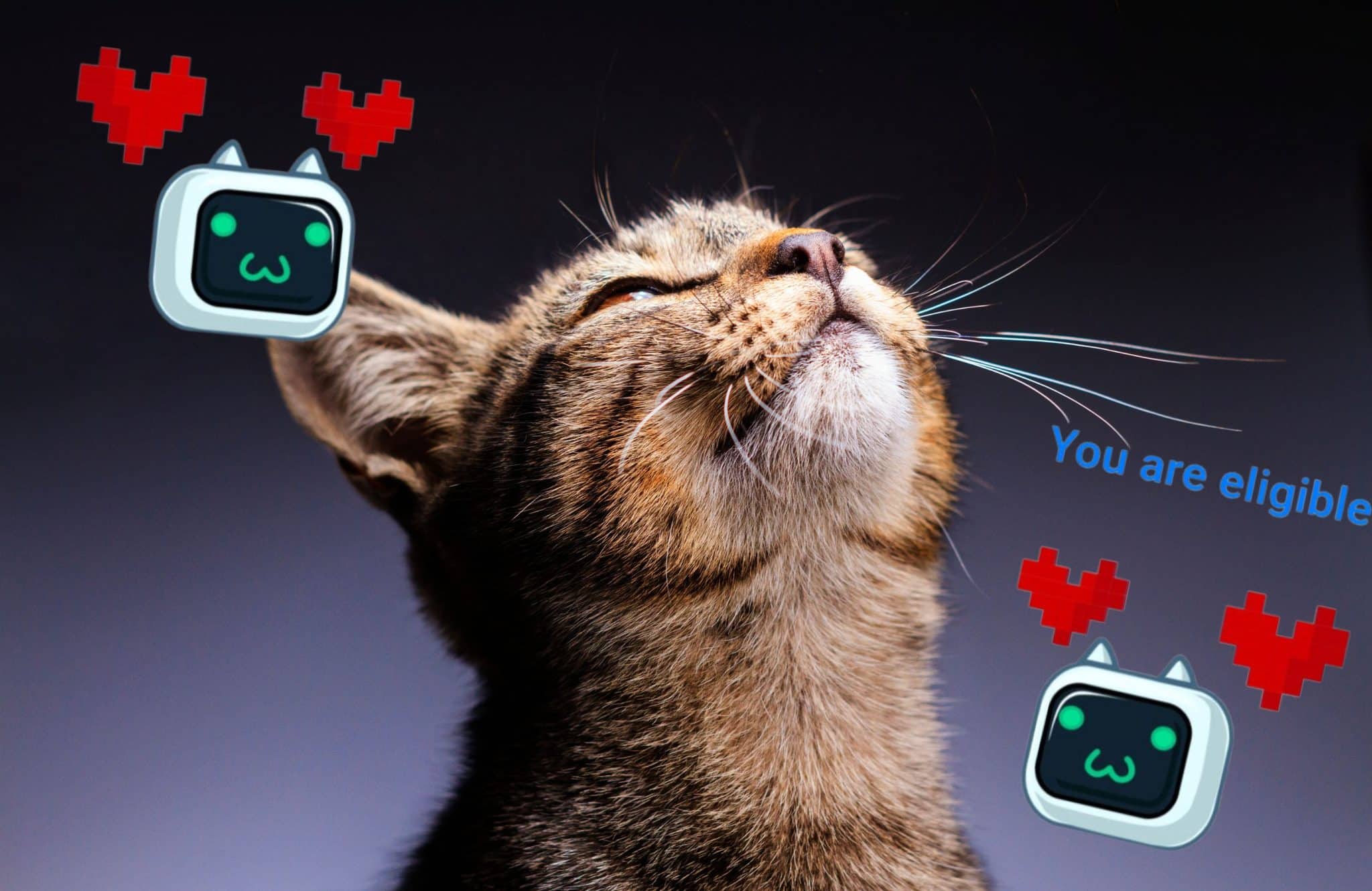 Is It Possible to Get Free Crypto CATS? Here’s The Best Way to Stack CATs in Q4 image 0