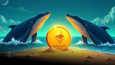 Whale Buys Back 18K ETH After Massive $35M Profit