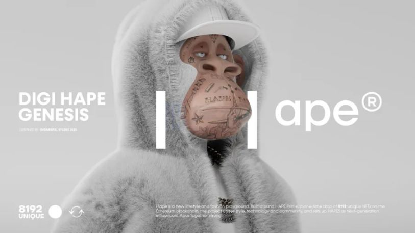 律动专访 Hape®创始人 Matt：我的 BAYC 之旅深刻影响了 Hape® image 3