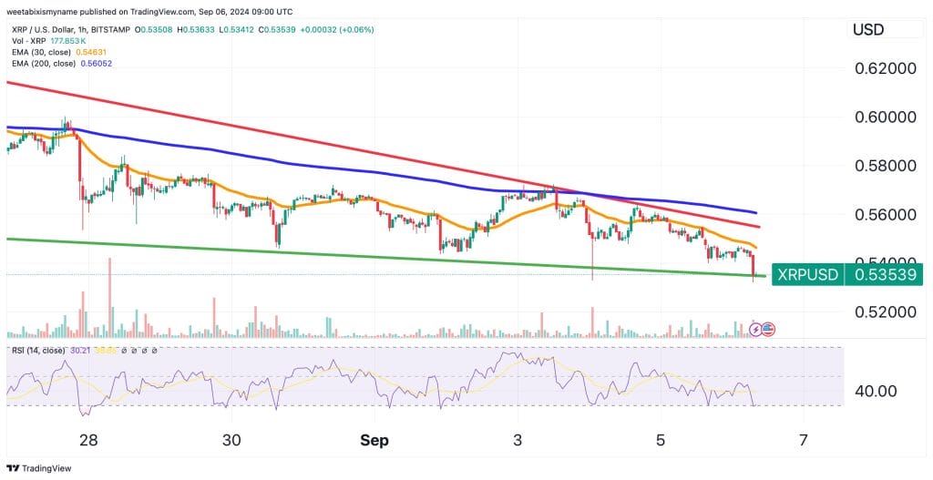 $1,000 in XRP Now Could Be a Game Changer for 2024: Analysis image 1