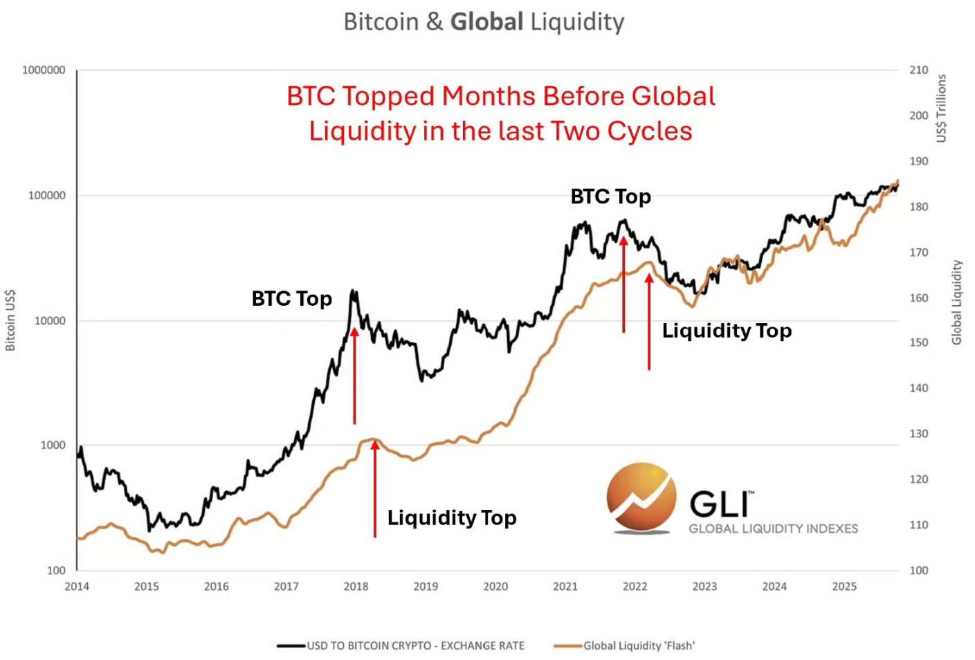 Bitcoin e la liquidità globale: segue o guida davvero? image 2