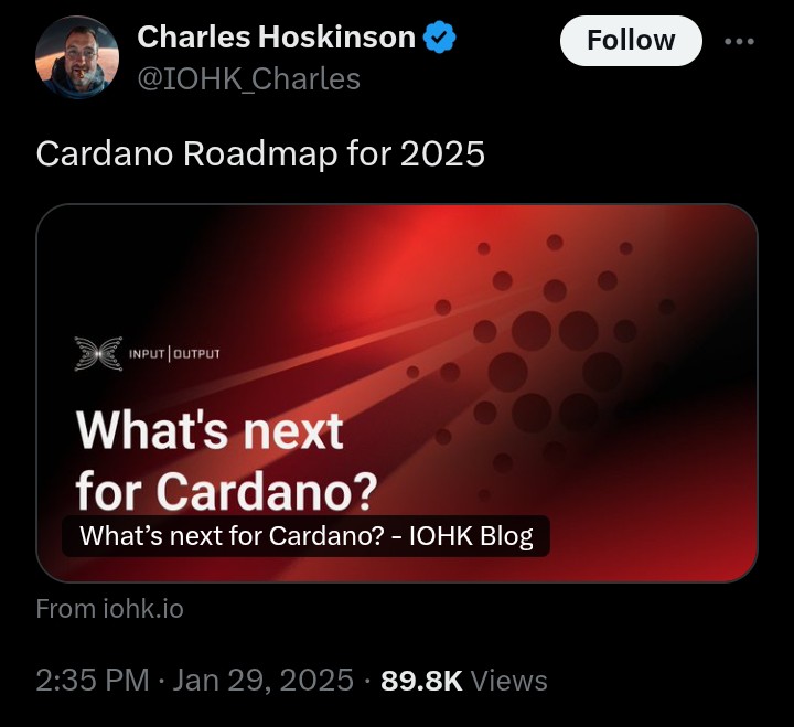 Apa Selanjutnya untuk Cardano? Input | Output Menguraikan Peta Jalan 2025 dengan Komunitas di Garis Depan image 0