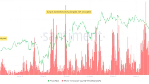 Here's which cryptocurrencies the whales are buying this week