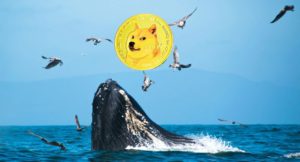 Harga Dogecoin Ambruk 9% Hari Ini (15/8/25): Whale Mengakumulasi DOGE hingga 2 Miliar!
