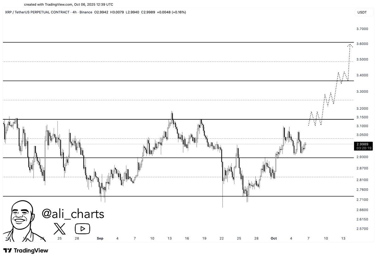 La peur des détaillants augmente dans le XRP, et c’est généralement à ce moment-là que les rallyes commencent image 5