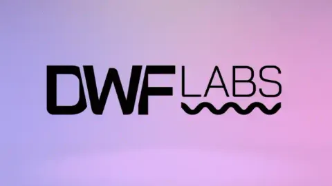 Meme-ization of Crypto: Has DWF become the much-needed stimulant in this special bull market?