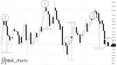 Giá SOL tiếp tục suy yếu mặc dù các yếu tố cơ bản vẫn mạnh: Liệu một mức hỗ trợ quan trọng có thể kích hoạt sự phục hồi không?