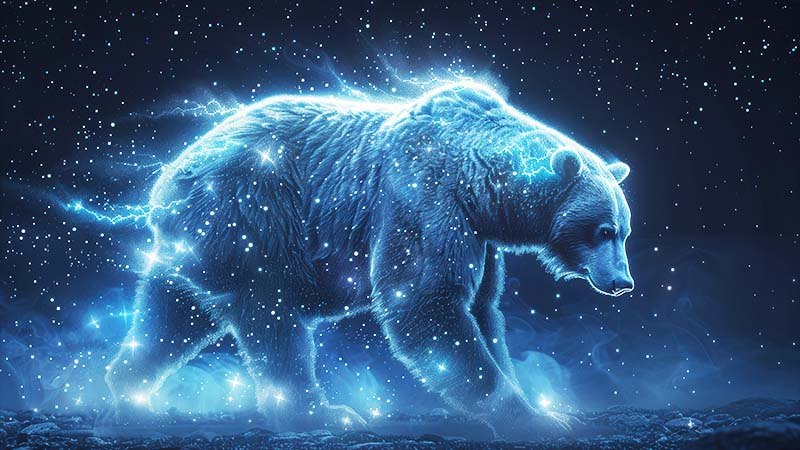 From Balancer to Berachain: When Chains Hit the Pause Button