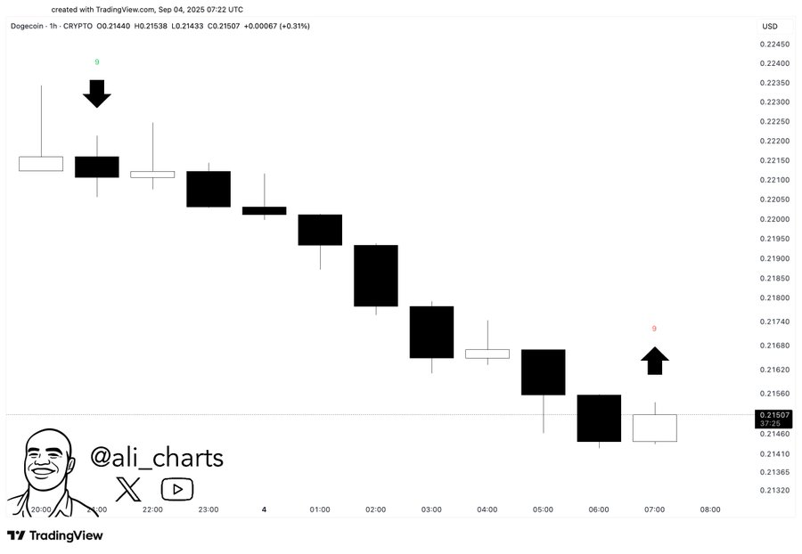 Dogecoin Could See Volatility Expansion as Bollinger Bands Squeeze and TD Sequential Flashes Buy Signal image 1