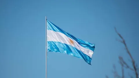 Milei sagt, er habe nicht beabsichtigt, den auf Solana basierenden LIBRA-Token zu fördern, einige Argentinier verloren Geld: Berichte