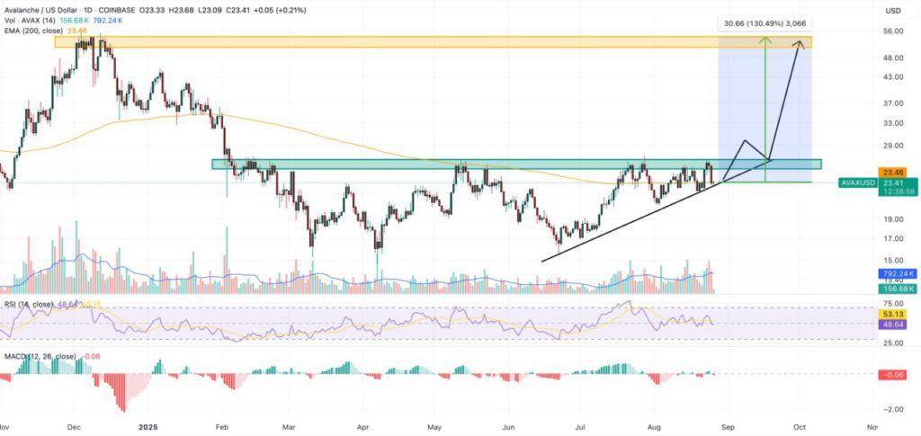 3 Prediksi Mengejutkan Harga Crypto 2025: XRP, DOGE, Hingga AVAX Siap Tembus Langit? image 2