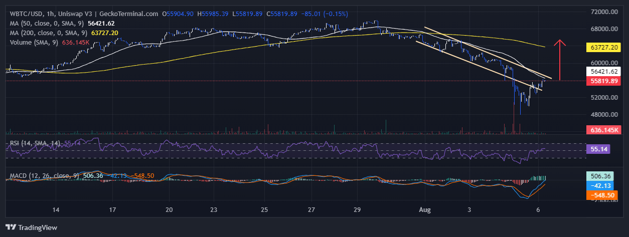 Bitcoin Price Prediction: Peter Brandt Says BTC’s Drop Is Similar To Start Of 2016 Bull Run As Investors Buy The Dip With This P2E DOGE Derivative image 1