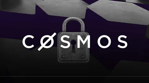 Pendiri Cosmos menyalahkan Zaki Manian dari Iqlusion atas risiko keamanan terkait Korea Utara dalam modul liquid staking jaringan