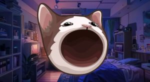 Harga POPCAT dan Pepe Coin Longsor hingga 9% Hari Ini (26/11/24): Apa yang Terjadi?