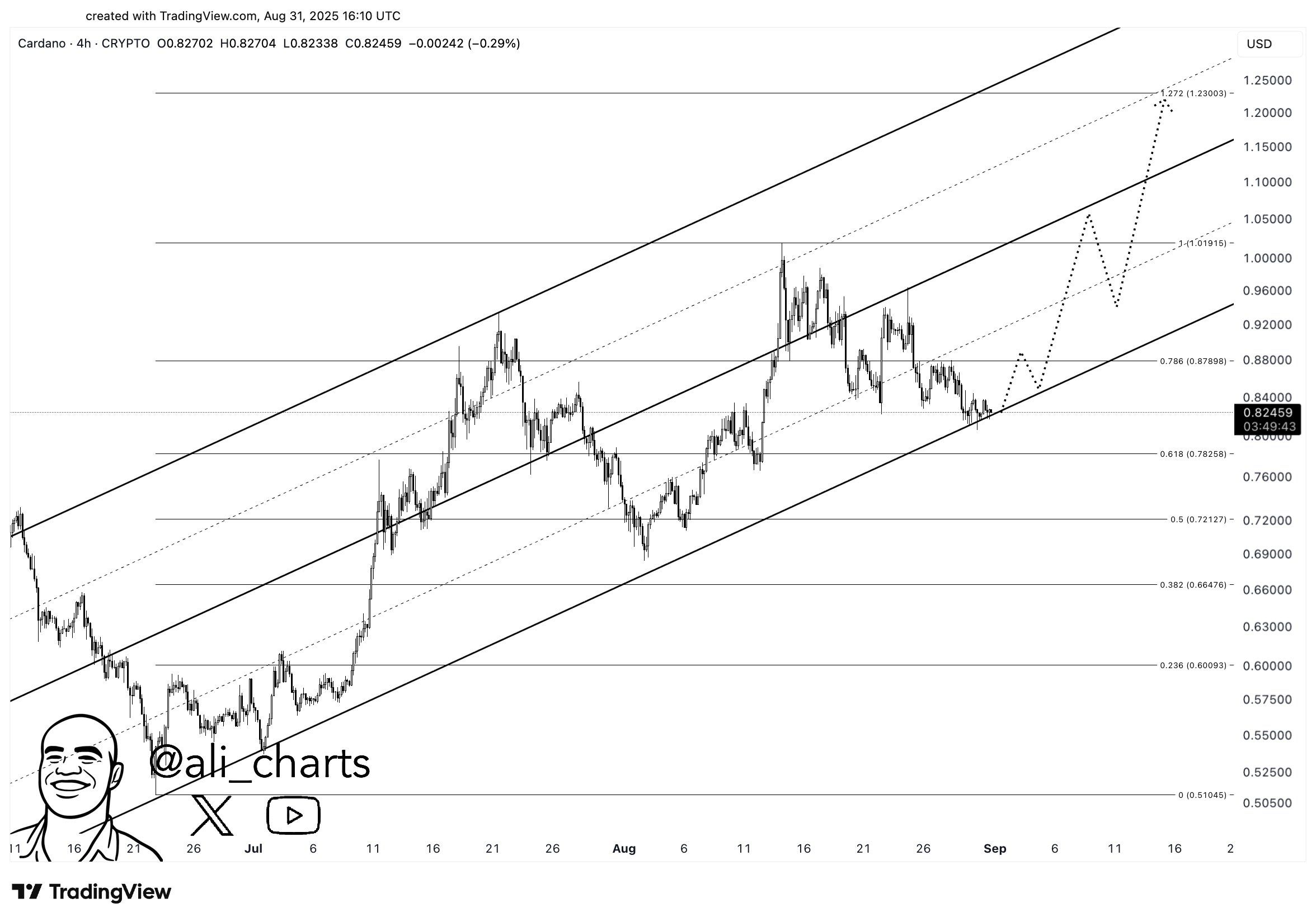 Crypto Prices Surge as Martinez Shares Key Altcoin Projections image 0