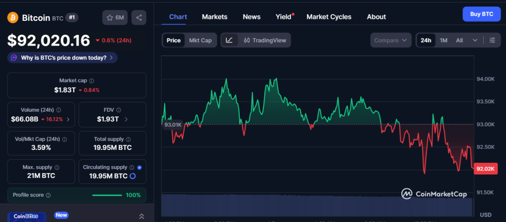 American Bitcoin Suma $34 Millones en BTC y Desata un Debate Sobre las Señales del Mercado