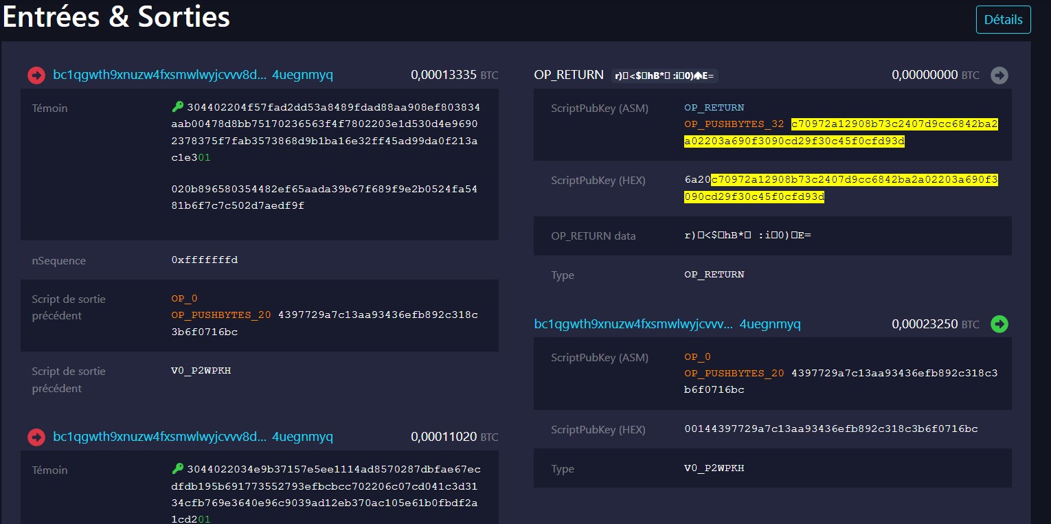 Qui sont les 5 entreprises crypto choisies par les États-Unis pour publier le PIB sur ces 9 blockchains ? image 0