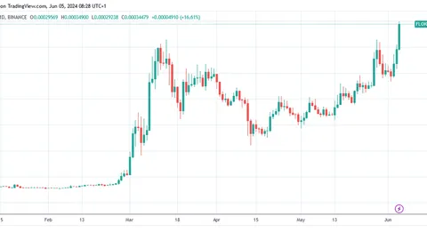 Floki Skyrockets to New ATH After Pivotal Breakthrough