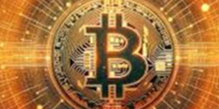 机构的钱往哪流？揭秘本轮潜在“山寨季”的五大黄金赛道