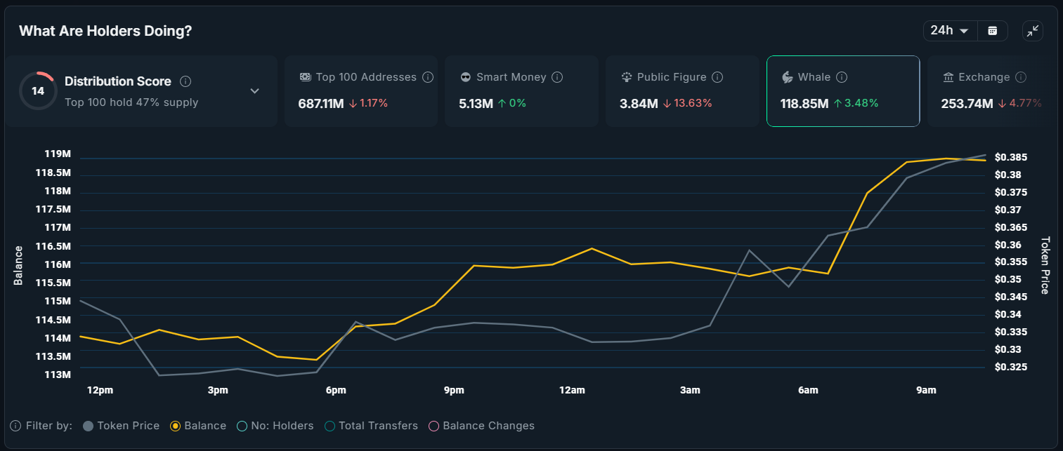 What Crypto Whales Are Buying as the Market Recovers? image 4